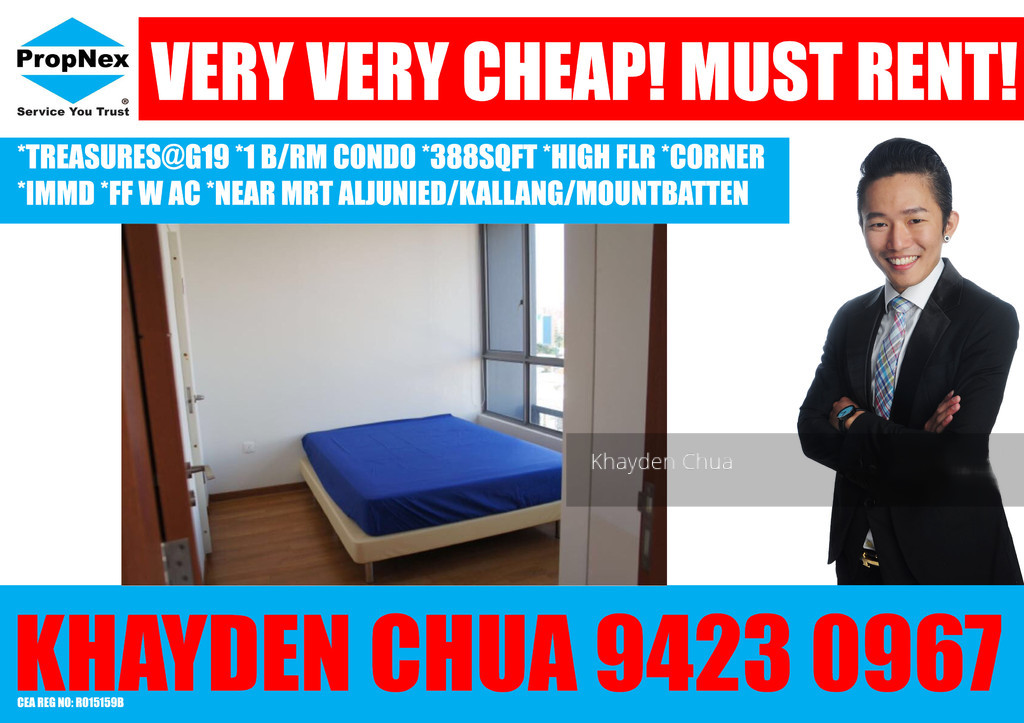 Treasures @ G19 (D14), Apartment #151122392